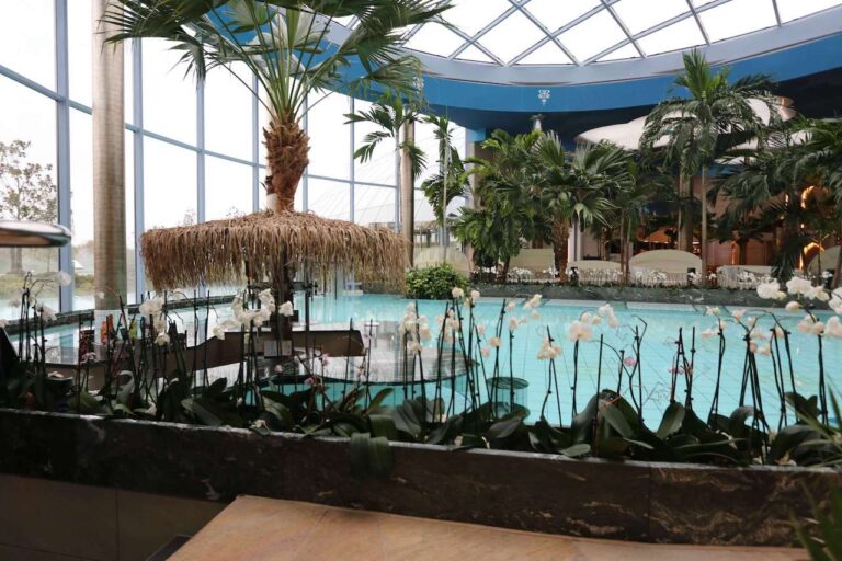 Große Halle mit Glasdach und Palmen in der Badewelt Euskirchen Schwimmbad & Therme