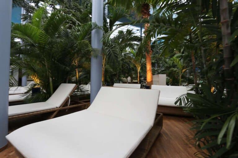 Liege zum Entspannen mit Palmen in der Badewelt Euskirchen Schwimmbad & Therme