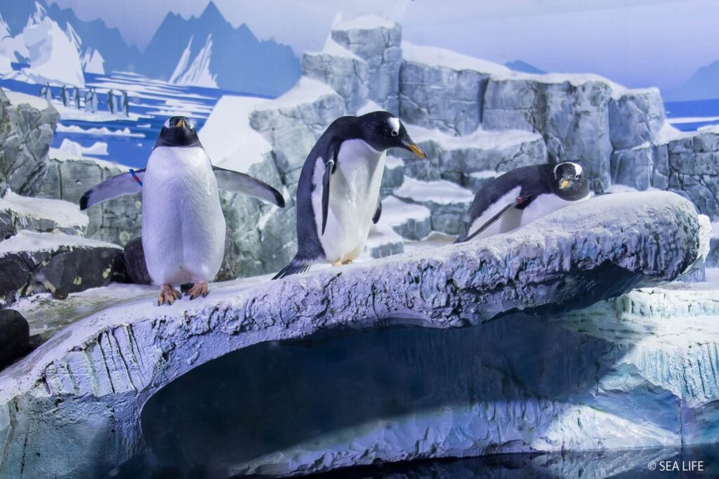 SeaLife Konstanz