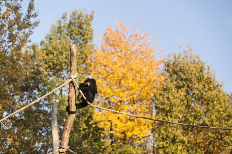 GaiaZOO Niederlande
