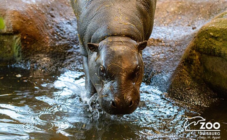 Freizeitpark Erlebnis