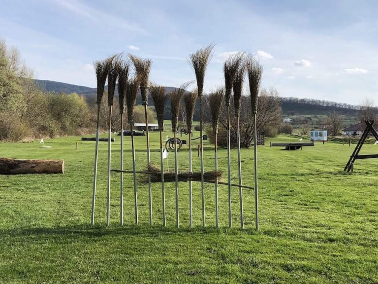 Golf- und Soccerpark Bad Harzburg