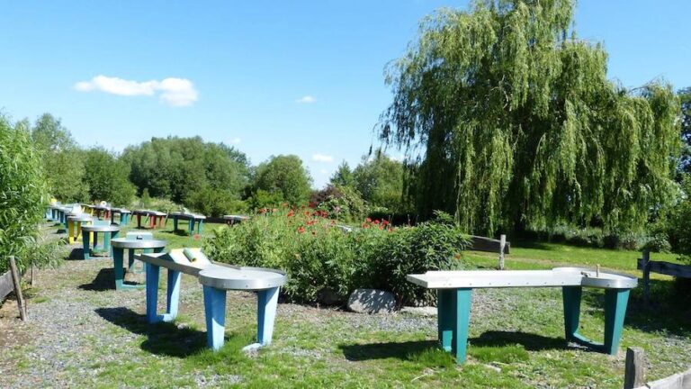 Golf- und Soccerpark Bad Harzburg
