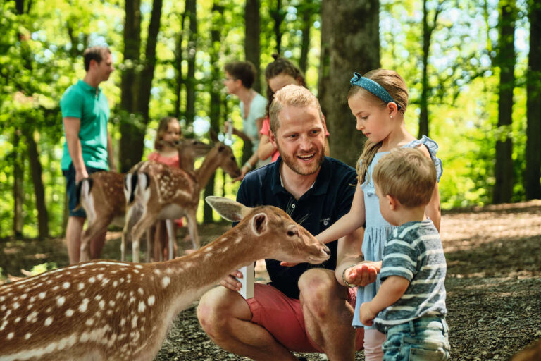Wildparadies Tripsdrill Tiere werden gefüttert