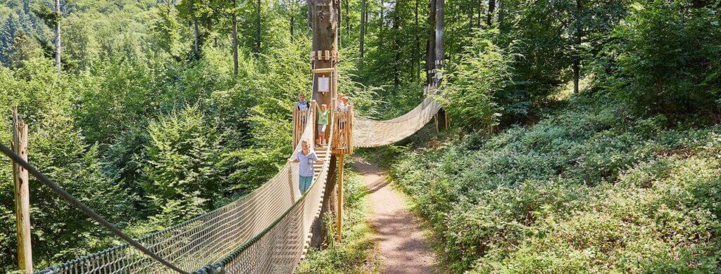 Baumkronenweg Waldkirch Brücke