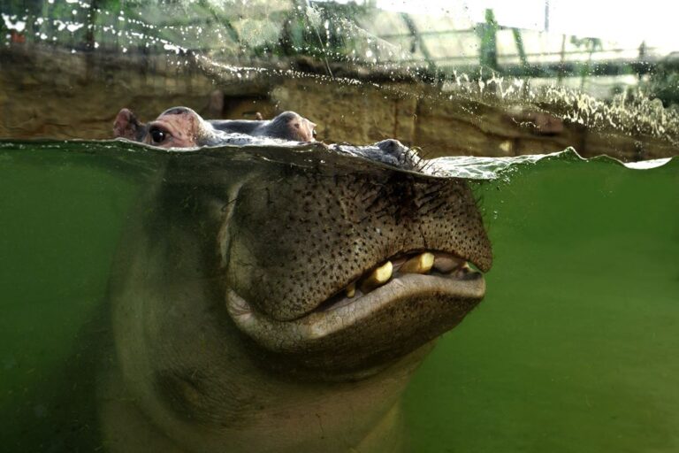 Kölner Zoo