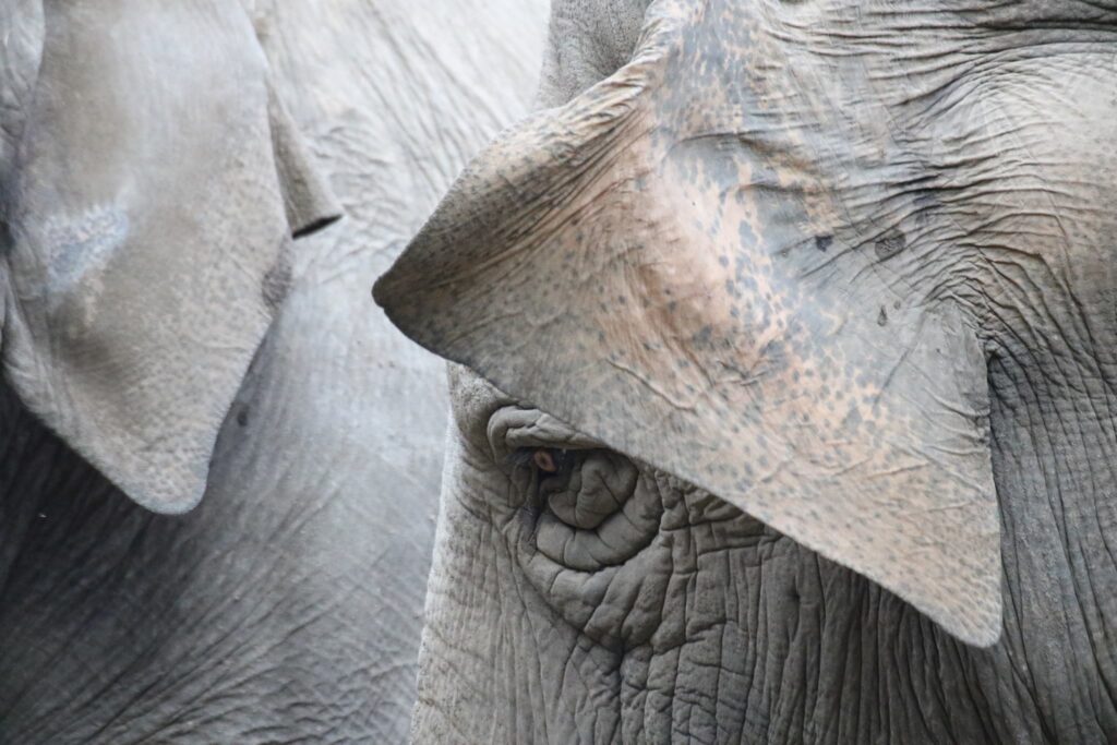 Tierpark Cottbus