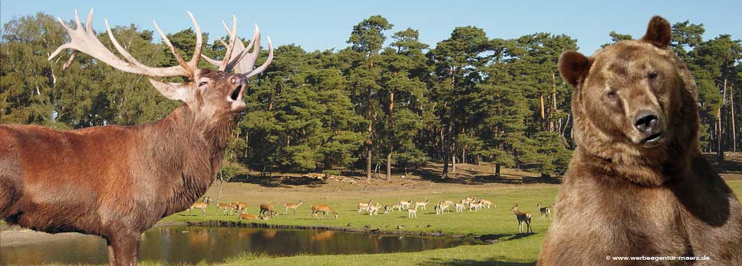 Wildpark Johannismühle Deals & Infos Freizeitpark Erlebnis