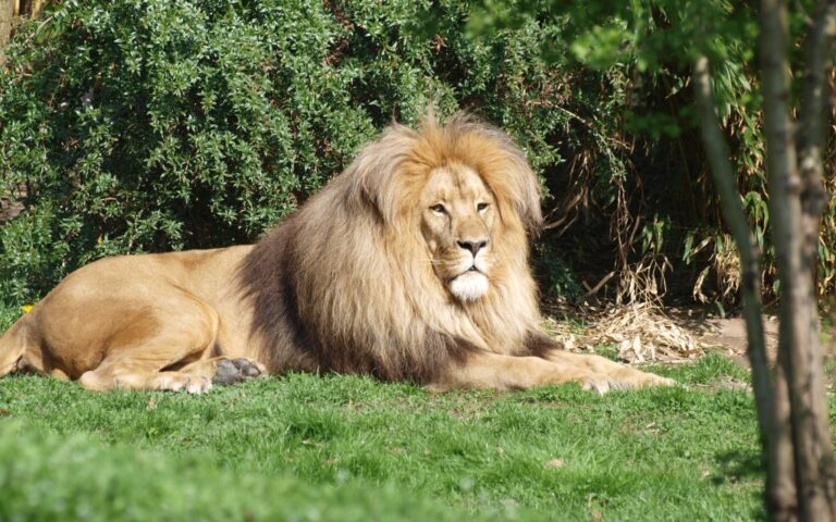 Zoo Leipzig