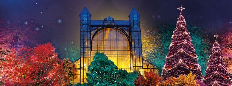Christmas Garden
