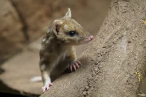 Zoo Leipzig