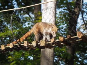 Zoo Leipzig
