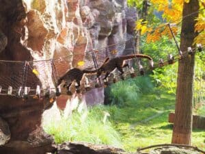 Zoo Leipzig