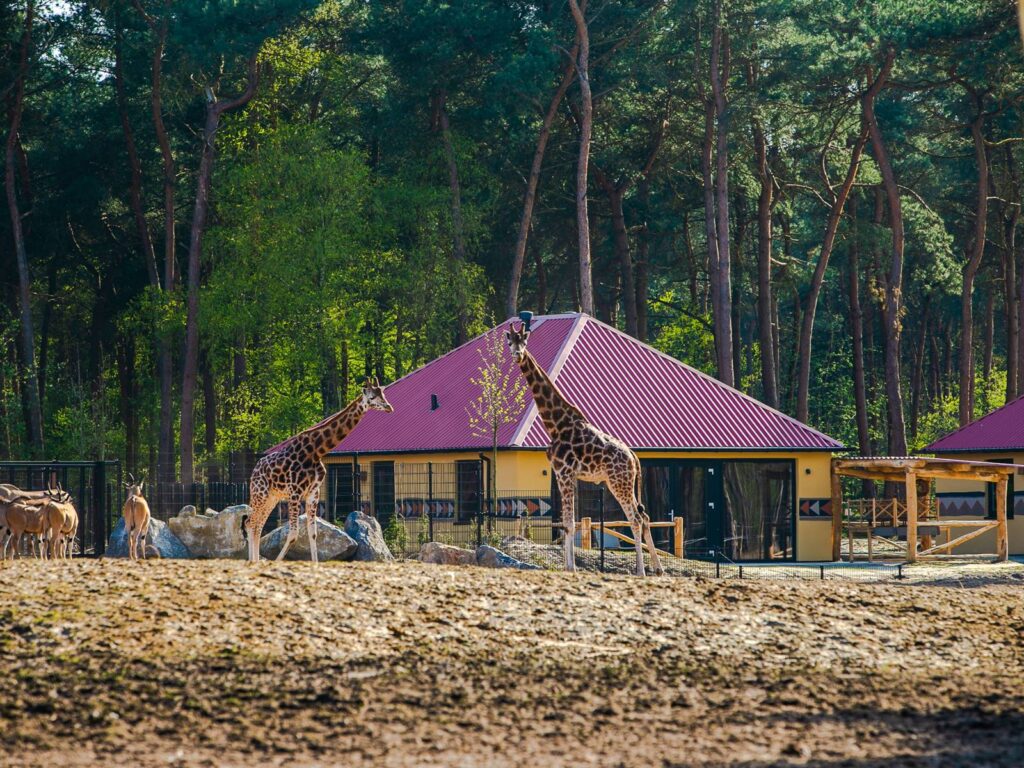Freizeitpark Erlebnis