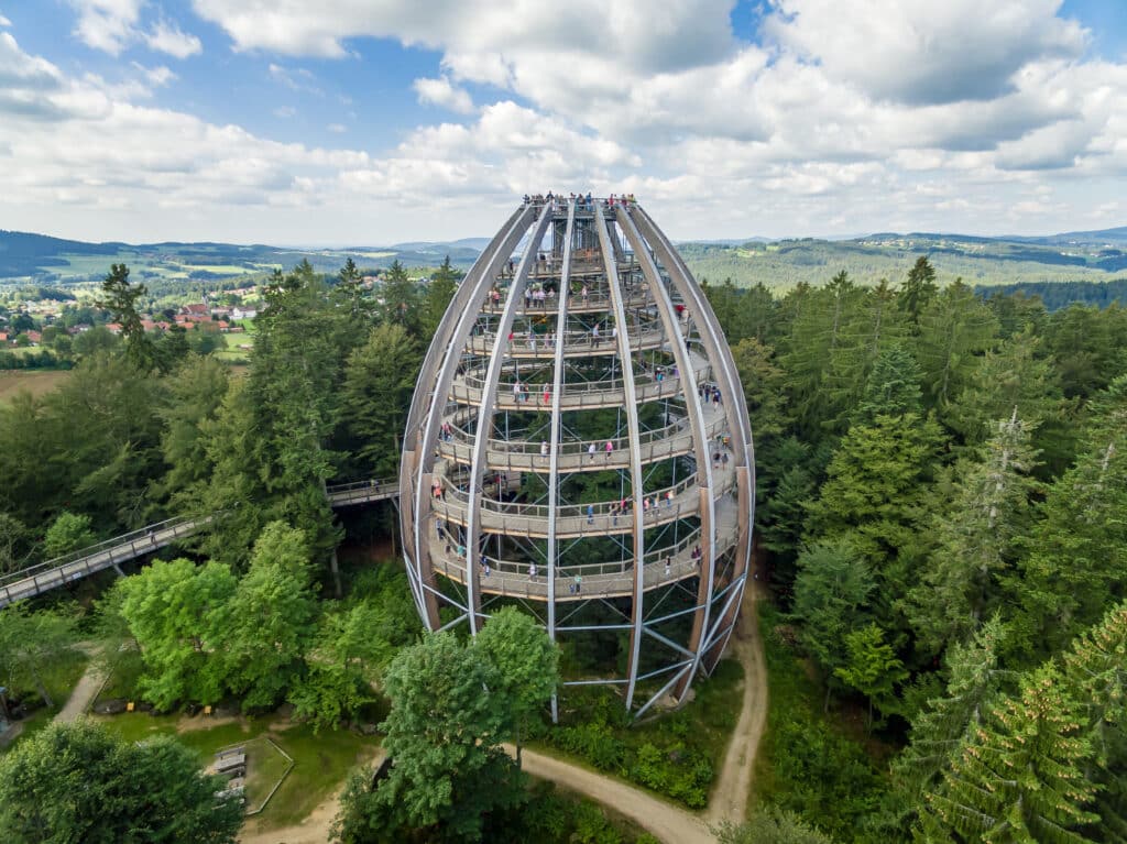 ©Erlebnis Akademie AG/Baumwipfelpfad Bayerischer Wald