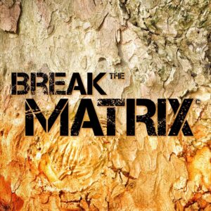 Break The Matrix Logo
