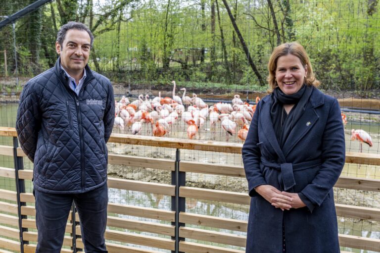 Tierpark Hellabrunn Flamingoanlage Neueröffnung
