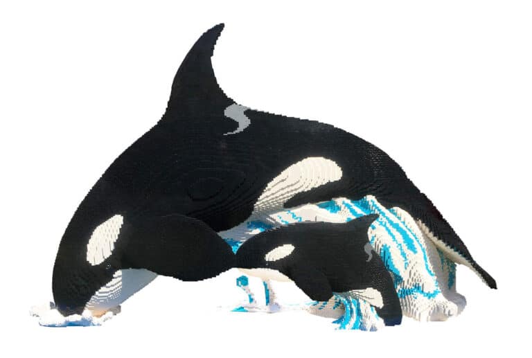 Burgers' Zoo Lego-Tiere