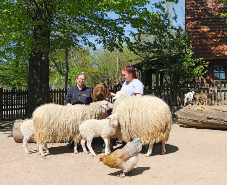 ZOOM Erlebniswelt Heimische Tierarten