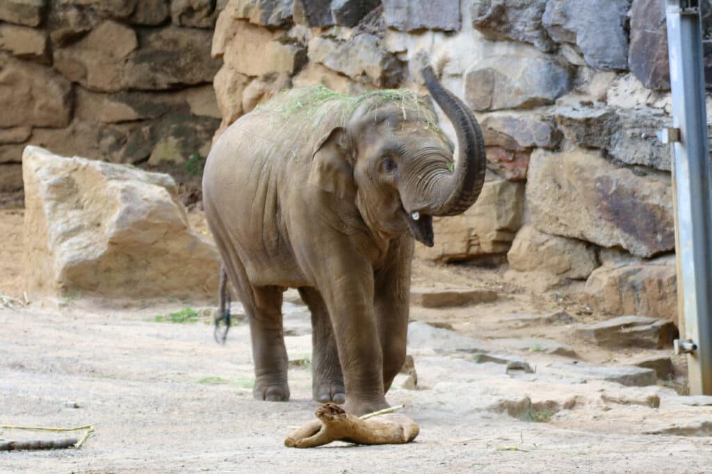 Freizeitpark Erlebnis