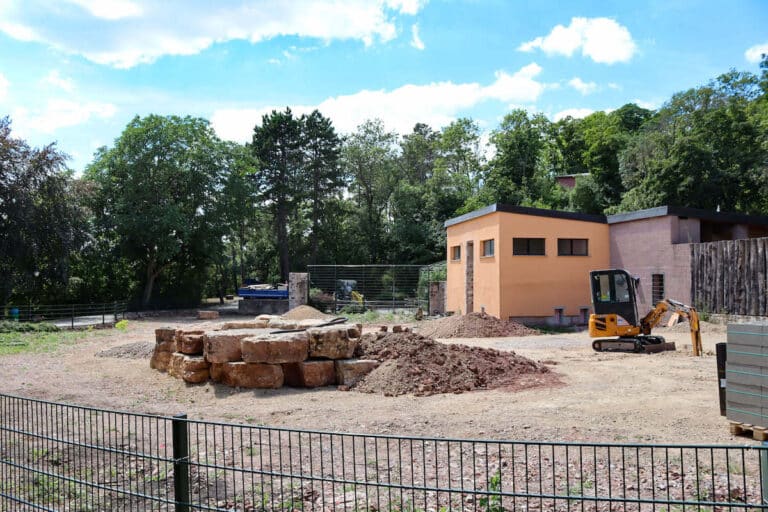 Bauprojekt im Thüringer Zoopark