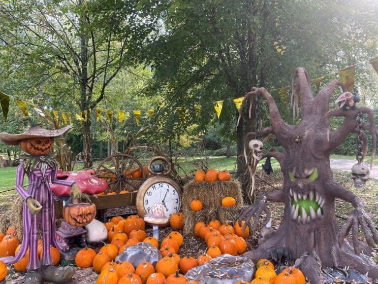 Bonbon Land halloween