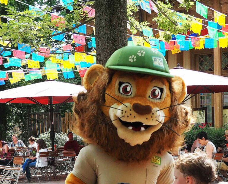 Freizeitpark Erlebnis