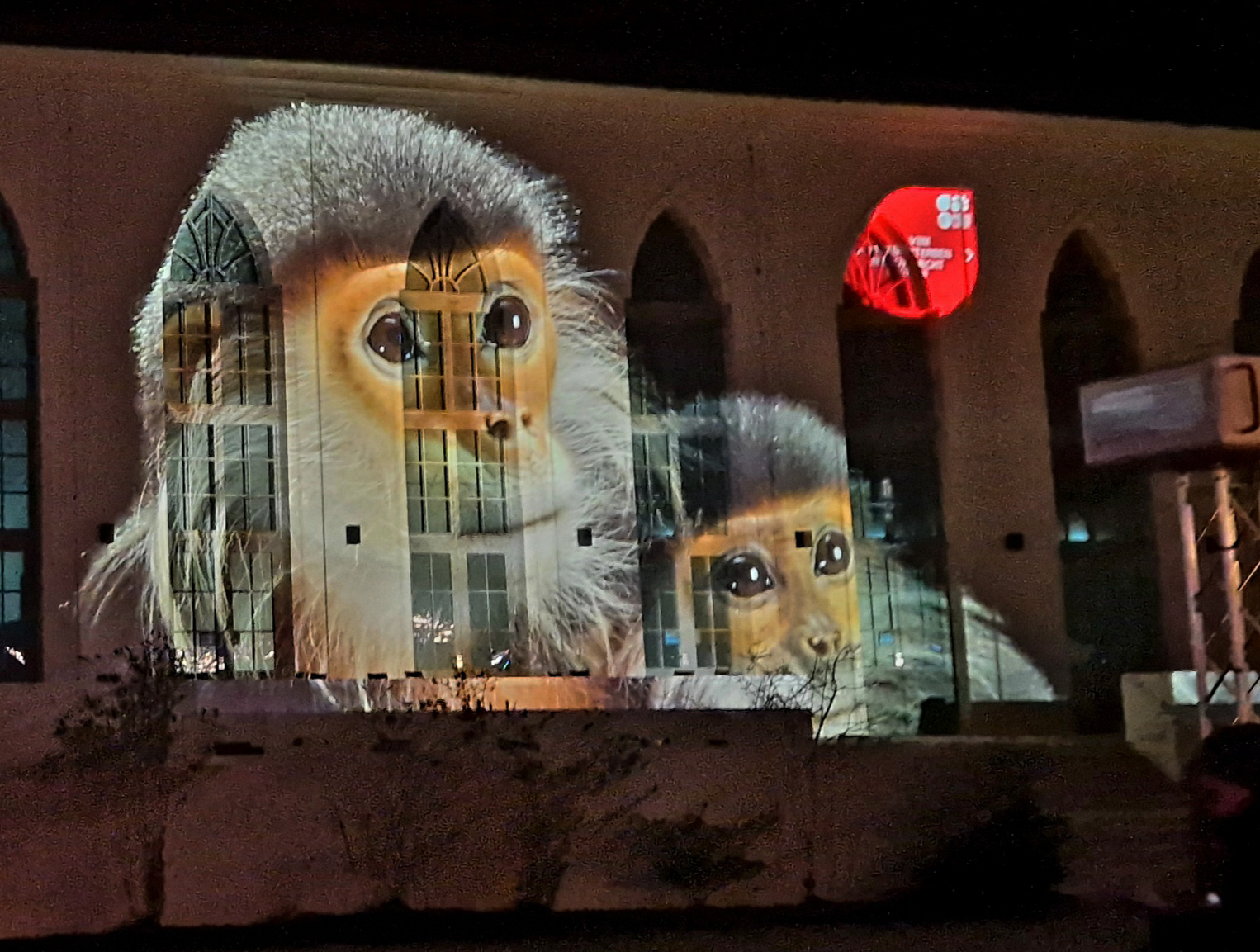03_Aufnahmen hochbedrohter Arten des National Geographic“-Fotografen Joel Sartore als Fassadenprojektion © Zoo Leipzig