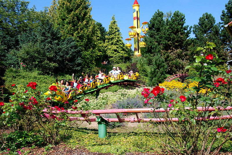 49594761003_b65416415d_c