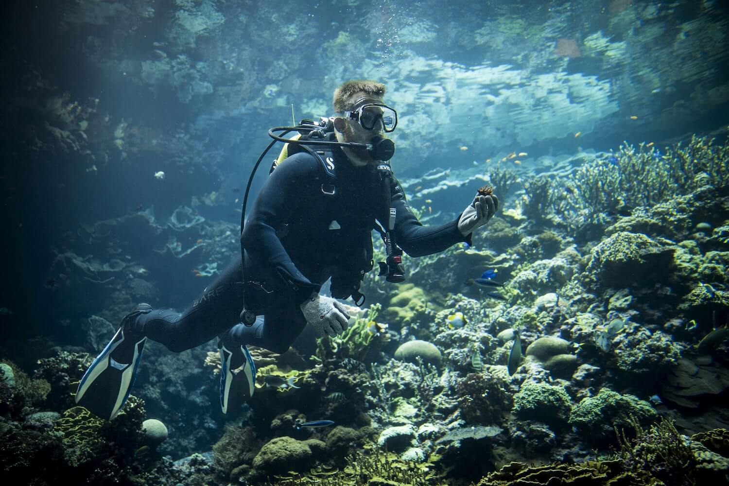 World-Coral-Conserva~er Burgers’ Zoo3