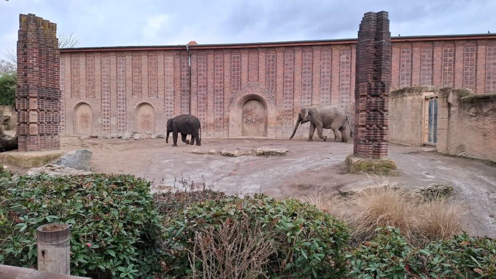 Freizeitpark Erlebnis