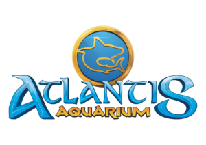 ATLANTIS Madrid