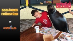Seelöwen Frühstück im Connyland