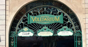 Attraktion im Test: Das Voletarium im Europa-Park mit Sehbehinderung