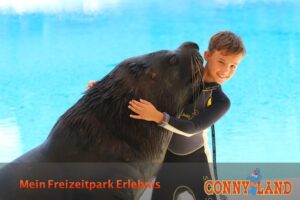 Schwimmen mit dem Seelöwen Oscar im Connyland