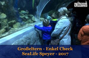 Großeltern und Enkel im SeaLife Speyer – Test 2017