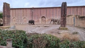 Zoo Leipzig mit Behinderung- Erfahrungsbericht mit Seh- und Hörbeeinträchtigung & Autismus