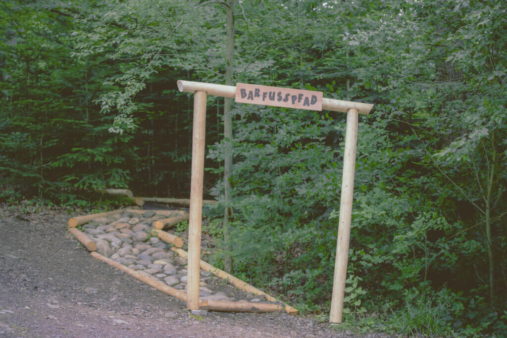 Waldkirch Baumkronenweg Schwarzwald Barfusspfad