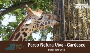Parco Natura Viva – Zoo & Safaripark am Gardasee